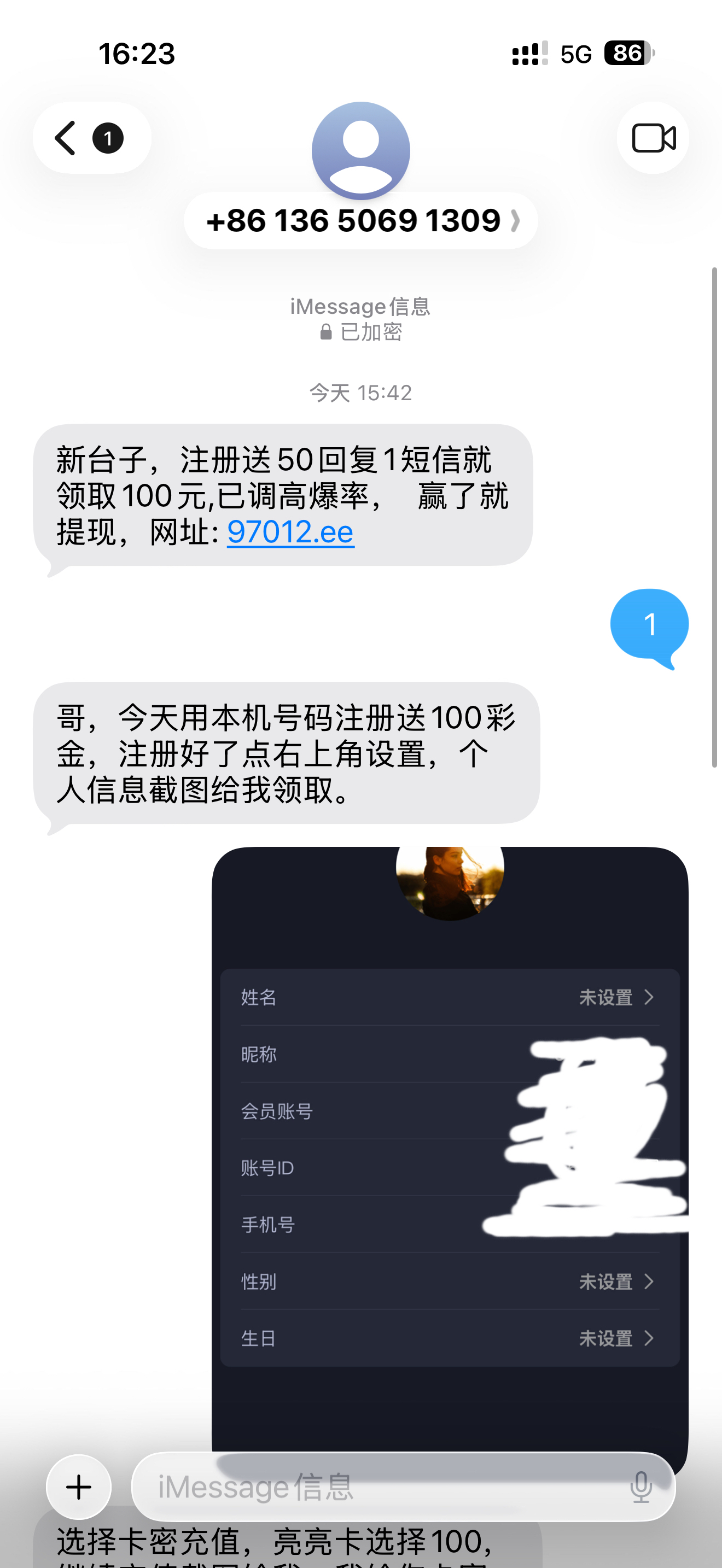 内容图片